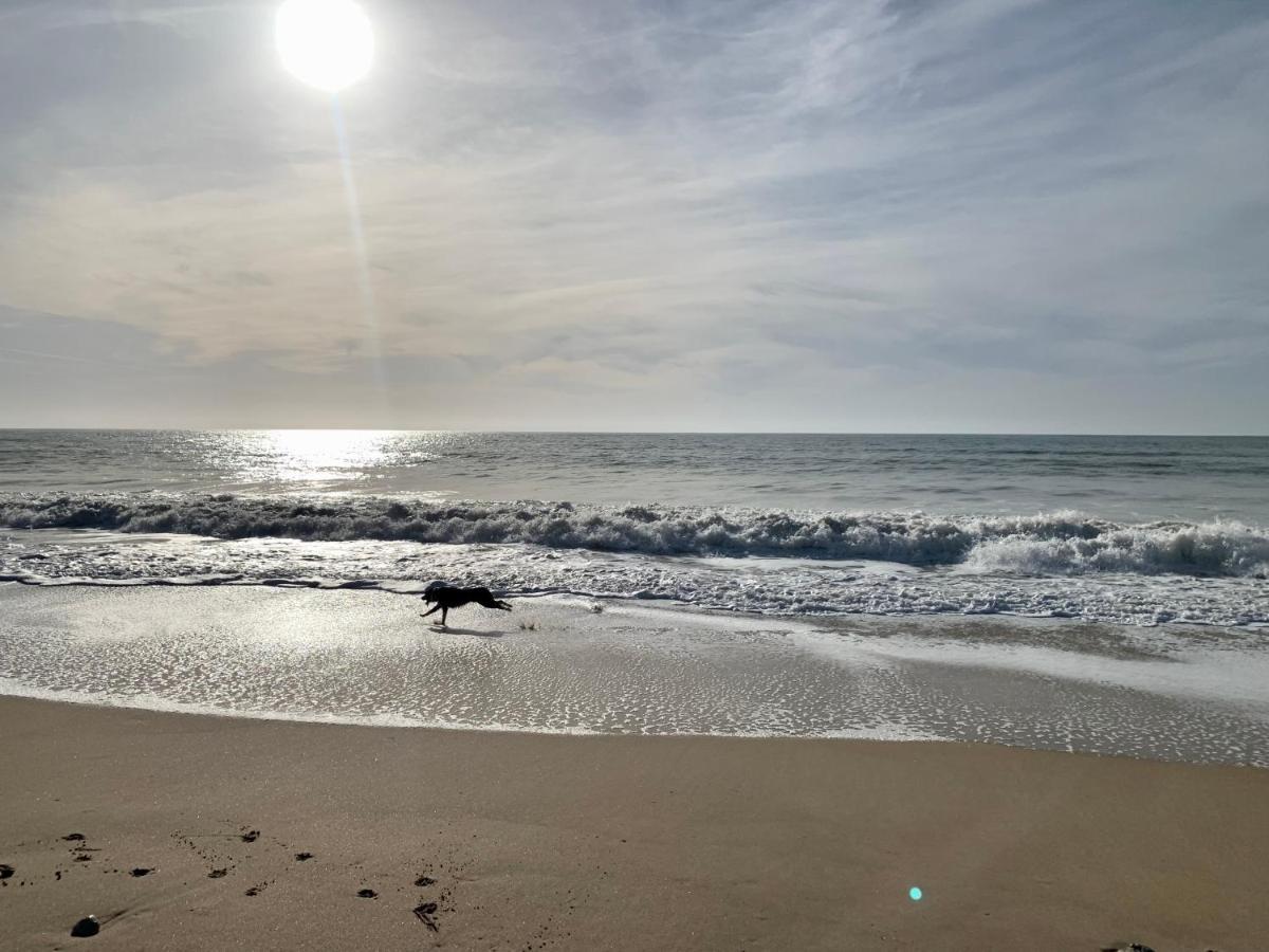 Maison Face Au Soleil Le Bois-Plage-en-Ré Buitenkant foto